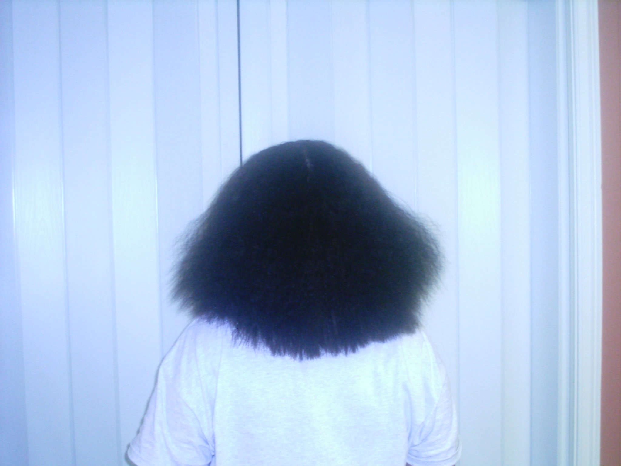 imag0446.jpg